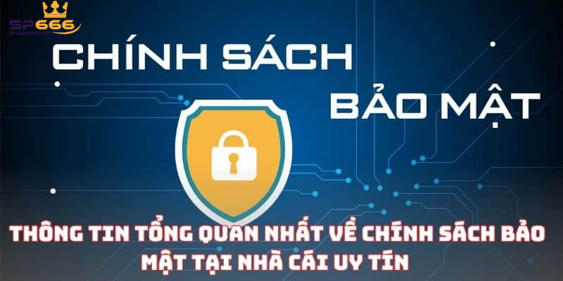 Chi tiết nội dung chính sách bảo mật của SP666