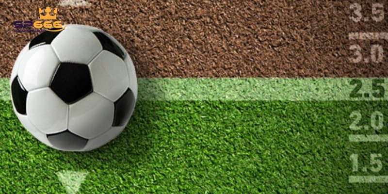 Trang bị thêm kinh nghiệm để tăng chiến thắng