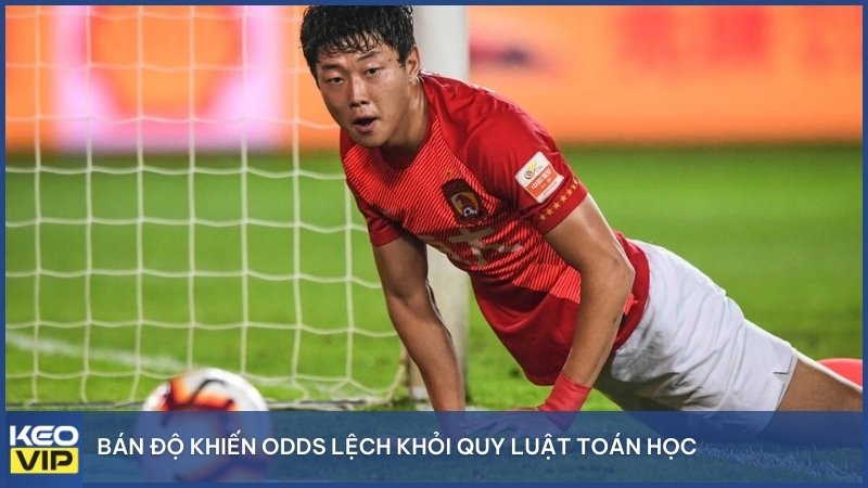 Bán độ khiến Odds lệch khỏi quy luật toán học